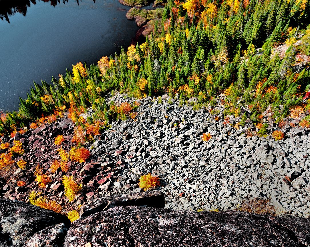 Aerial view of lake and forest in autumn.